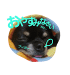 kotaroow2（個別スタンプ：13）