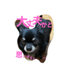 kotaroow2（個別スタンプ：14）