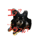 kotaroow2（個別スタンプ：22）