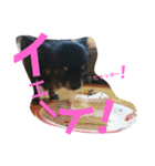 kotaroow2（個別スタンプ：23）