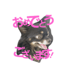 kotaroow2（個別スタンプ：24）
