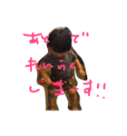 環仁あいさつ5（個別スタンプ：3）