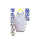 ほこまる【写真】（個別スタンプ：8）