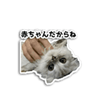 ほこちゃん（個別スタンプ：5）
