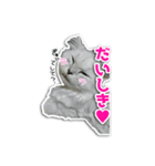 ほこちゃん（個別スタンプ：8）