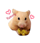 Hamster A-BU（個別スタンプ：3）