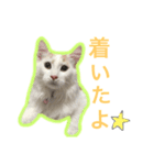 らぷの1日☆（個別スタンプ：2）