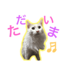 らぷの1日☆（個別スタンプ：3）