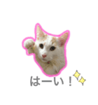 らぷの1日☆（個別スタンプ：5）
