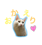 らぷの1日☆（個別スタンプ：6）