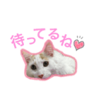 らぷの1日☆（個別スタンプ：8）