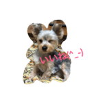 犬アンド犬（個別スタンプ：3）