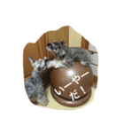 犬アンド犬（個別スタンプ：8）
