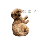 もこさんすたんぷ（個別スタンプ：13）
