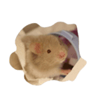 tootoohamster2.0（個別スタンプ：5）