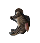 tootoohamster2.0（個別スタンプ：13）