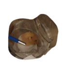 tootoohamster2.0（個別スタンプ：14）