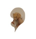 tootoohamster2.0（個別スタンプ：15）