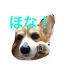 薫みなみ（個別スタンプ：4）