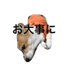 薫みなみ（個別スタンプ：5）