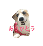 薫みなみ（個別スタンプ：6）