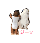 ochan6（個別スタンプ：7）