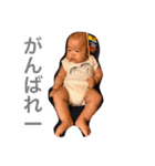 ochan6（個別スタンプ：15）