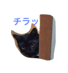 可愛いマロンちゃん（個別スタンプ：4）