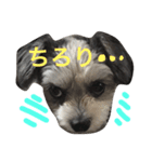 くーちゃんでーす（個別スタンプ：2）