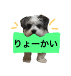 くーちゃんでーす（個別スタンプ：5）
