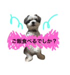 くーちゃんでーす（個別スタンプ：6）