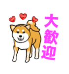 柴犬のリキくん（個別スタンプ：12）