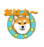 柴犬のリキくん（個別スタンプ：28）