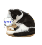 にゃ〜ん（個別スタンプ：4）