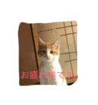 くるみさん（個別スタンプ：18）