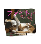 くるみさん（個別スタンプ：20）