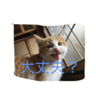 くるみさん（個別スタンプ：24）
