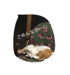 くるみさん（個別スタンプ：32）