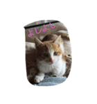 くるみさん（個別スタンプ：40）