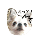 GIN.com（個別スタンプ：3）