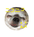 GIN.com（個別スタンプ：6）