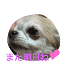 GIN.com（個別スタンプ：9）