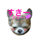 GIN.com（個別スタンプ：12）