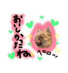チワワのプリンセス（個別スタンプ：8）