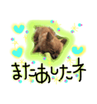 チワワのプリンセス（個別スタンプ：14）