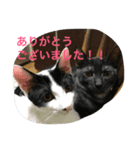 ネロ＆モク（個別スタンプ：4）