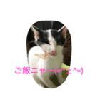 ネロ＆モク（個別スタンプ：7）