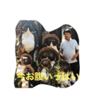アロハのまきお（個別スタンプ：1）