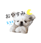 あびたんスタンプ（個別スタンプ：1）