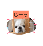 あびたんスタンプ（個別スタンプ：2）